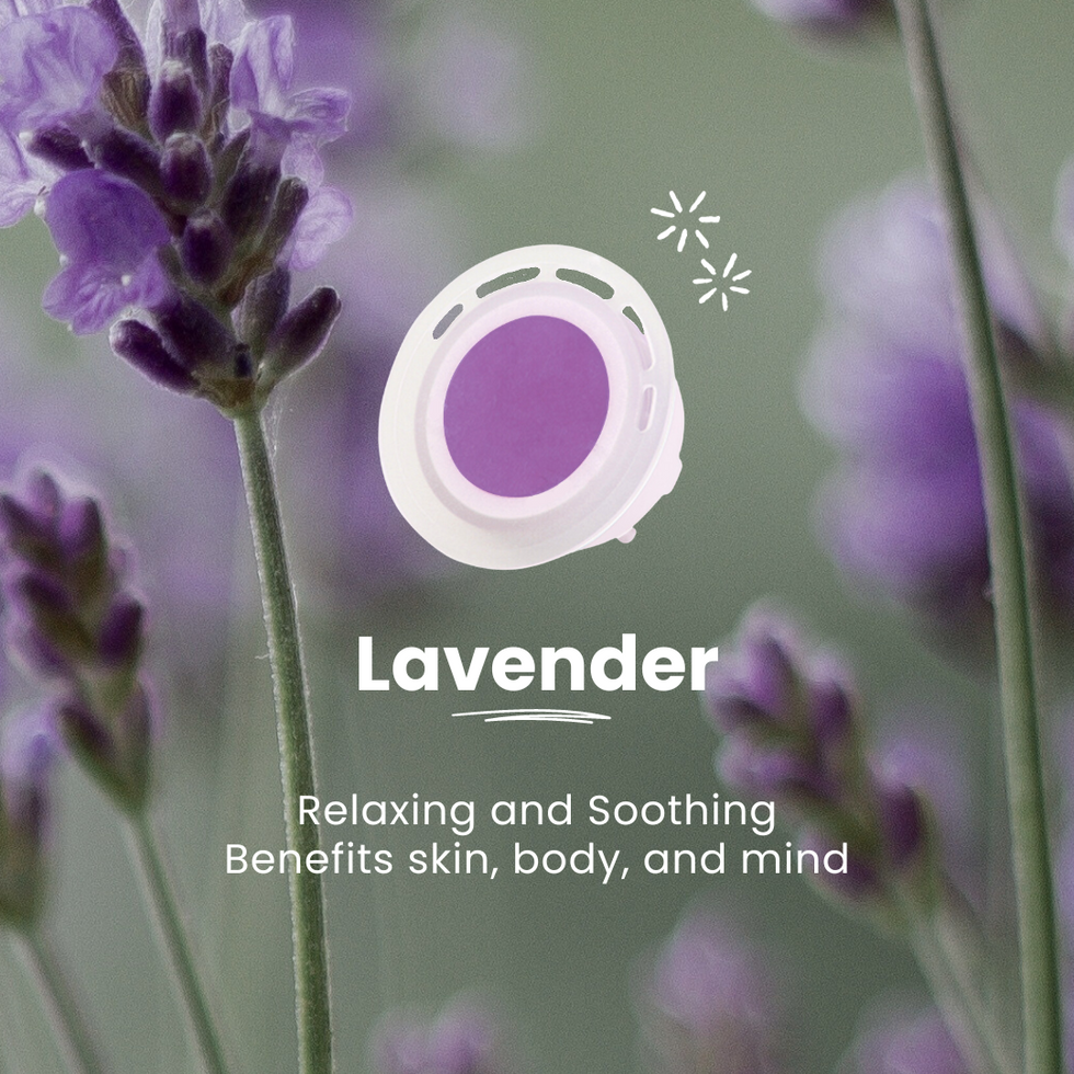 43.png__PID:b617a777-5413-4687-97be-fa3d37c30d27