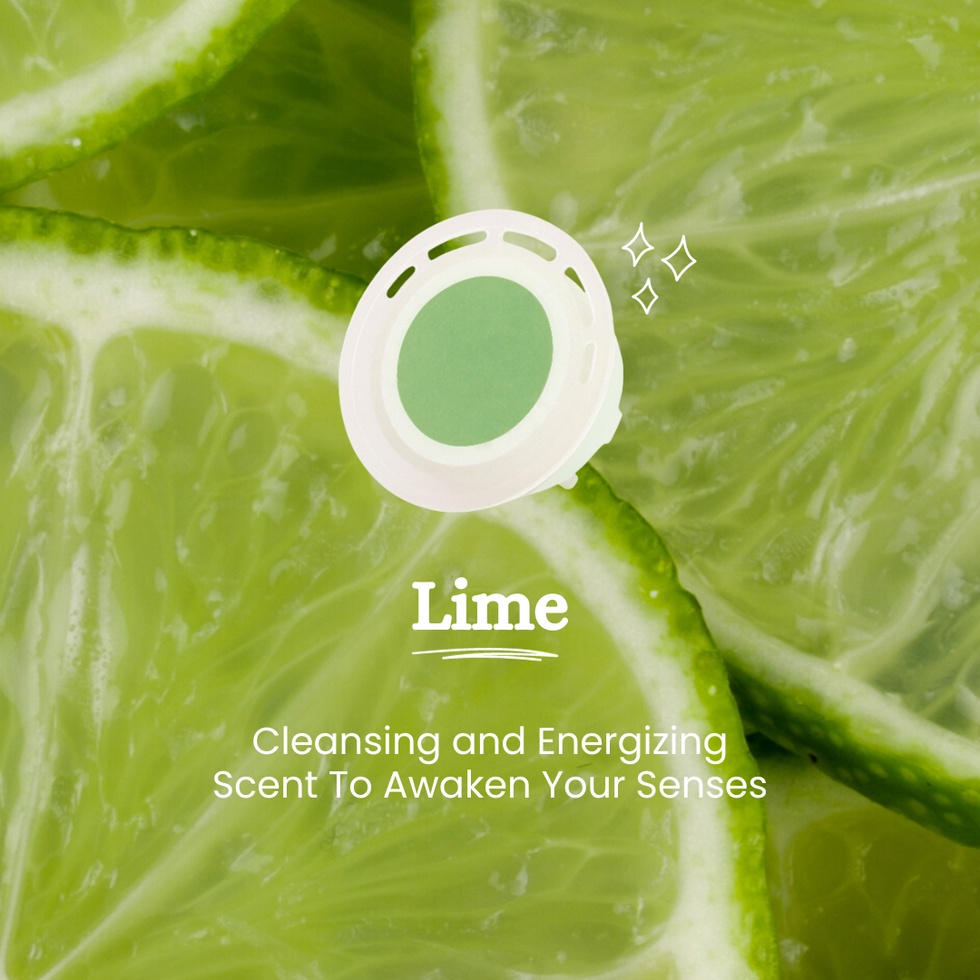 45.png__PID:44fef310-1845-488c-a586-ccdde1d2644c