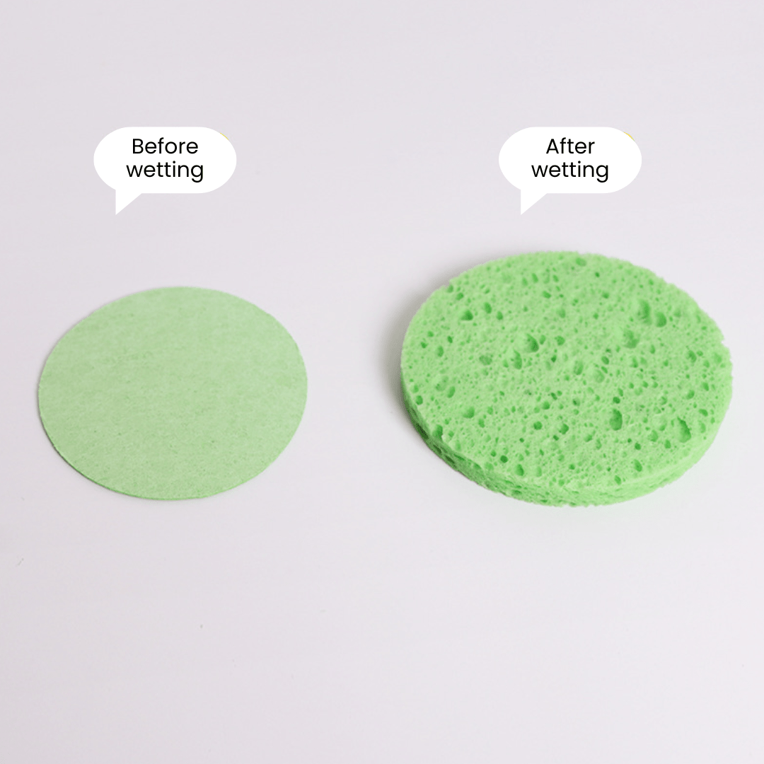 Compressed Cellulose Facial Sponge (10pcs) - UShops