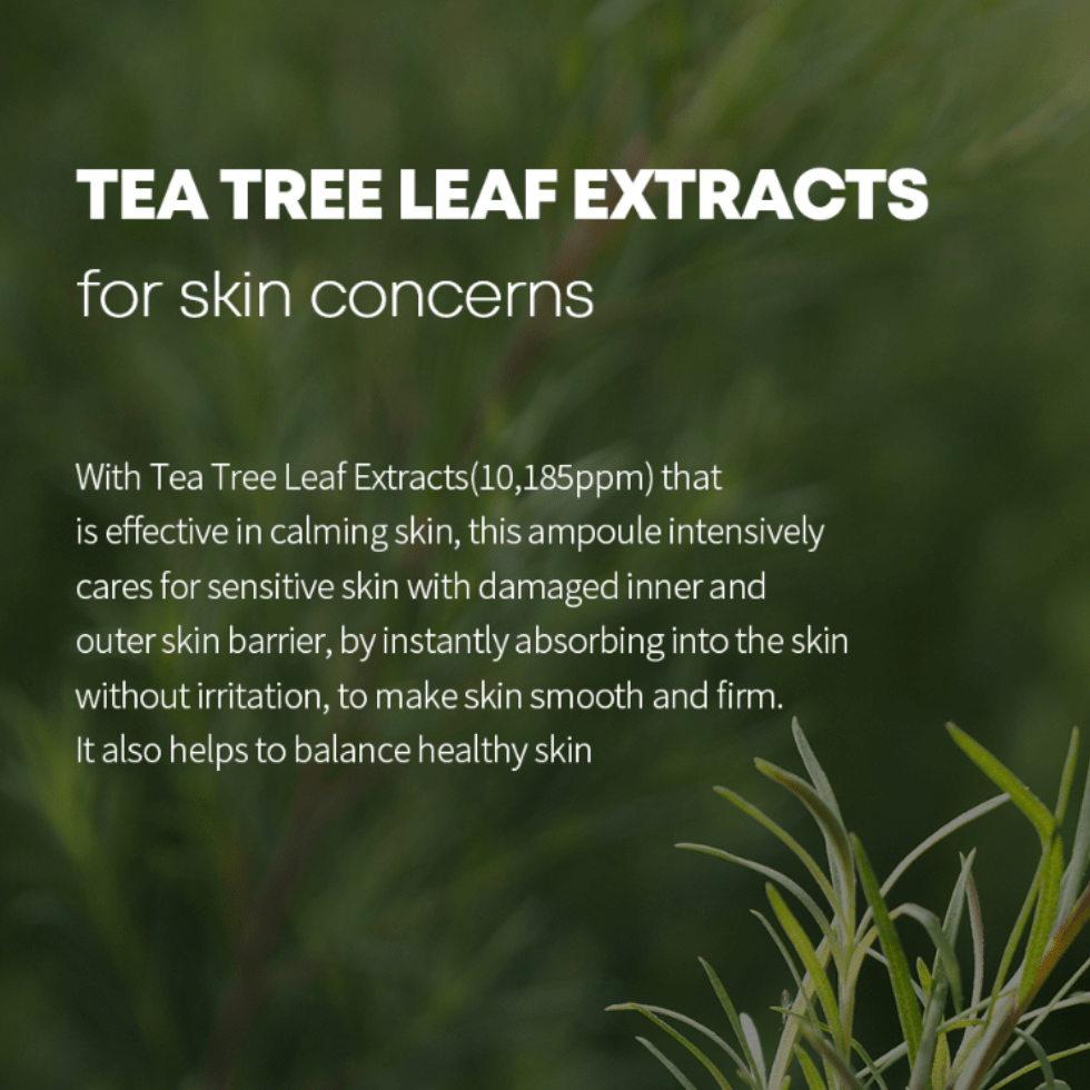 Farmstay Tea Tree Biome Calming Ampoule (50ml) - UShops