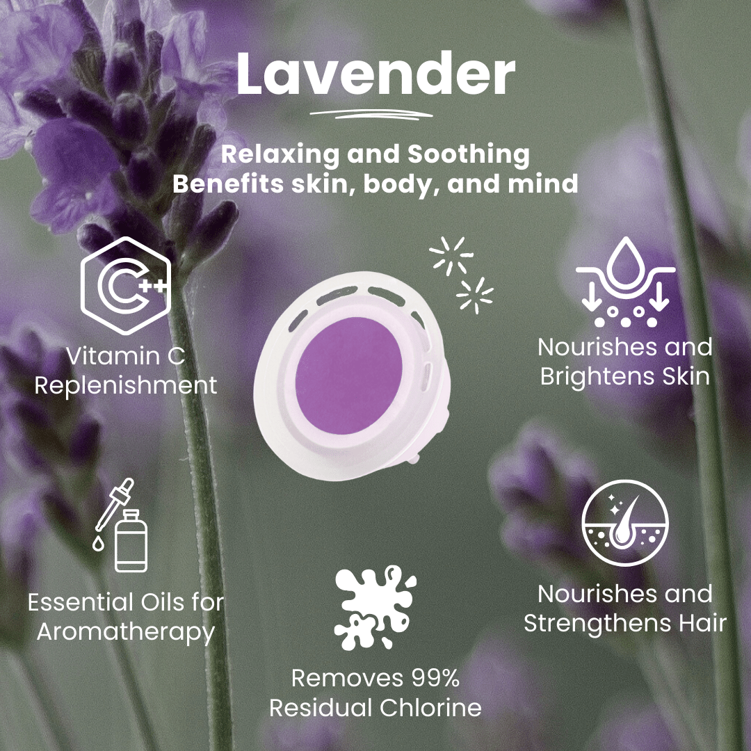 UNIQUAN Aromatherapy Shower Set - Lavender - UShops