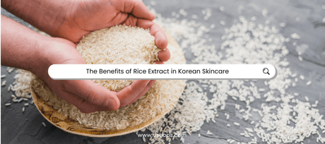 The Benefits of Rice Extract in Korean Skincare - UShops