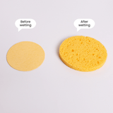 Compressed Cellulose Facial Sponge (10pcs) - UShops