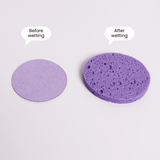 Compressed Cellulose Facial Sponge (10pcs) - UShops