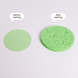 Compressed Cellulose Facial Sponge (10pcs) - UShops