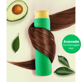 Farmstay Tamanu Oil Mild Shampoo Avocado (300ml) - UShops