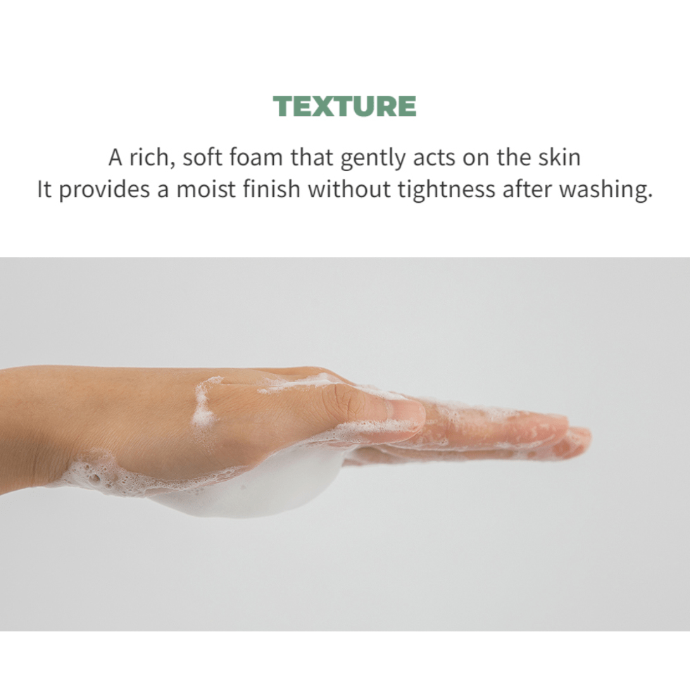 Farmstay Tea Tree Biome Low PH Calming Cleanser - UShops