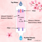 Uniquan Vitamin Shower Filter - Cherry Blossom / Sakura - UShops